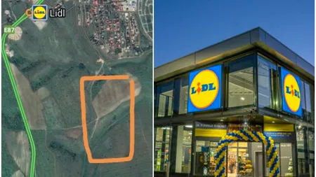 Lidl dă lovitura fără precedent în România și investește aproape 50 de milioane de euro într-un depozit de 8 hectare. Investiția mamut a nemților va fi într-o locație complet neașteptată!