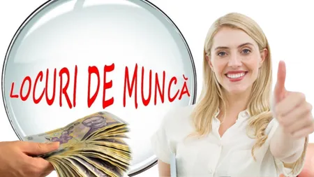 Românii aplică pe bandă rulantă pentru locurile de muncă. Domeniile în care s-au angajat cele mai multe persoane în acest an