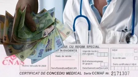 Soarta concediilor românilor, în mâinile deputaților! Ce modificări majore s-au propus astăzi