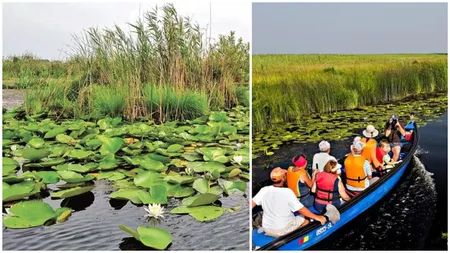 Numărul persoanelor care au vizitat Delta Dunării a crescut. Datele oficiale transmise de ARBDD