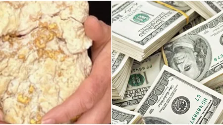 Nemaiîntâlnit! Un bărbat s-a îmbogățit după ce a găsit o rocă. Ce conținea piatra care i-a adus 160.000 de dolari în buzunare