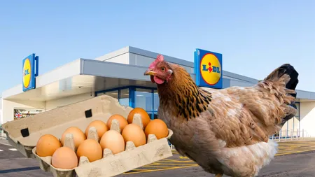 Lidl dă vestea șoc! Ce fel de ouă se vând în magazinele marelui retailer?