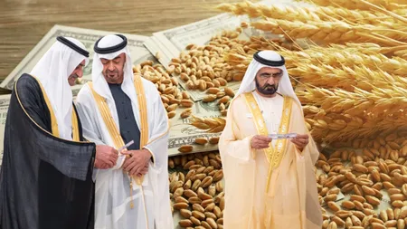 Grâul românesc, la mare căutare! Arabia Saudită a cumpărat 1,043 milioane de tone de grâu, marfa provenind și din România