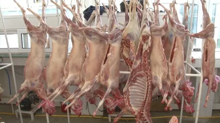 Carnea de miel, mai scumpă de Paște 2023. Fermierii spun că sunt nevoiți să crească prețurile: ”Cred că va fi mai mare cu cel puțin 30 la sută. Nu putem altfel pentru că au fost costuri mai mari anul acesta”