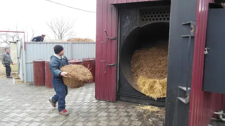 Facturi la încălzire cu 90% mai mici. Cum şi-a câştigat o comună din Arad independenţa energetică