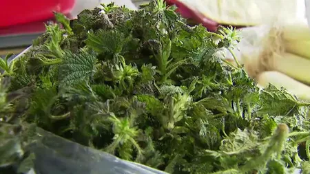 Alertă pe piața alimentară din România! Prețul urzicilor, mai ridicat decât prețul pentru carnea de pui sau chiar de porc