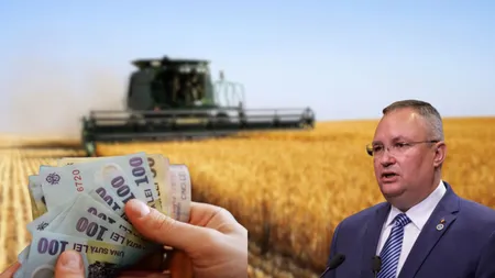 Vești bune pentru crescătorii de vaci. Nicolae Ciucă anunță două etape de ajutoare financiare de peste 40 de milioane de euro. „Este important să optimizăm funcționarea întregului lanț de producție”