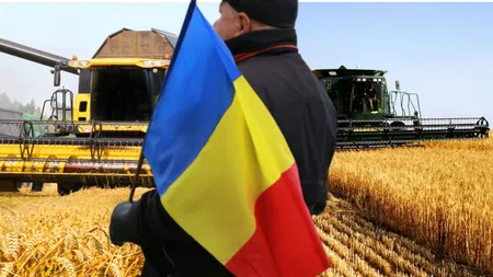 Eurostat: producția agricolă din Europa se ridică la 516,2 miliarde euro. În tot acest timp, România ocupă același loc încă din 2021