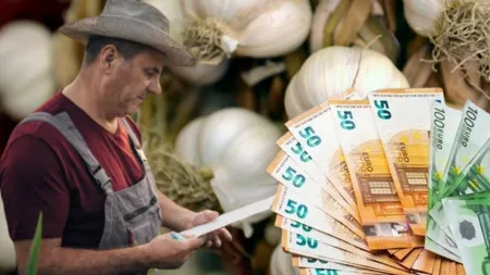 Ministerul Agriculturii a făcut anunțul! Vor fi suplimentate fondurile pentru producătorii de usturoi cu peste 2 milioane de euro!