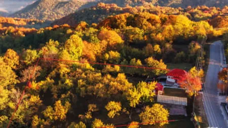 Ei sunt românii care și-au găsit casa visurilor în vârf de deal. Decizia a venit după carantina din timpul pandemiei „În natură, pandemia și mai ales carantina din 2020 au avut un efect devastator asupra noastră”