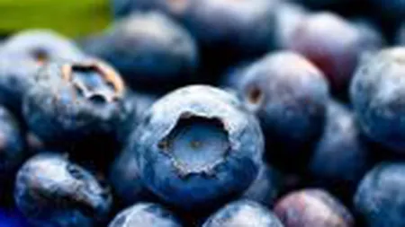 Mesaj straniu pe afinele din Lidl! O femeie a rămas șocată când a văzut ce era scris pe fructe