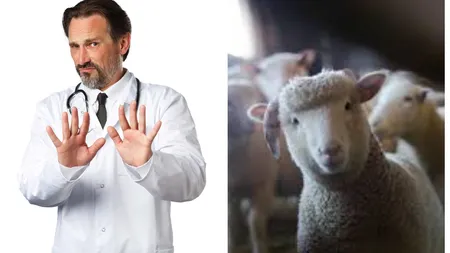 Avertizări din partea medicilor! Ce riscuri pentru sănătate poate avea carnea de miel? „Poate deveni toxică în anumite condiții”