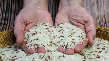 Producția de orez este în scădere drastică. Oamenii de pe tot globul se confruntă cu cel mai mare deficit din ultimele două decenii