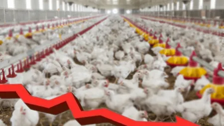 Tot mai multe ferme sunt desființate. Din 2005 până în 2020 s-a înregistrat o scădere majoră în UE