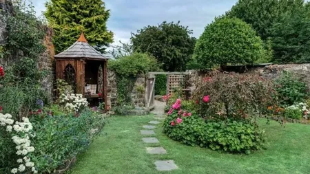 Plantele care îți protejează grădina de șoareci și rozătoare. Tu știai de aceste soluții naturale?