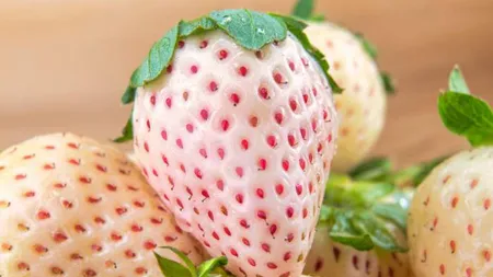 Spectaculos! Noua fiță în categoria fructelor! Ce este căpșuna ananas și la ce prețuri ajunge