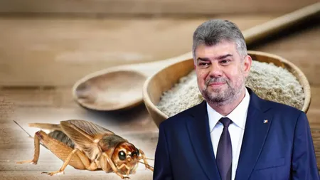 Făina de insecte ar putea fi interzisă prin lege. Marcel Ciolacu: „Am depus astăzi proiectul de lege”