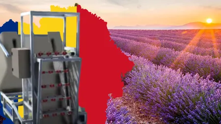 Invenția revoluționară din România! Primul robot din lume care culege lavanda. Creatorii români au anunțat când va putea fi folosit de fermieri