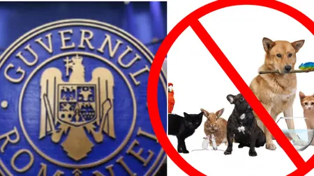 Schimbări majore începând cu 1 mai. ANSVSA interzice complet o categorie de animale