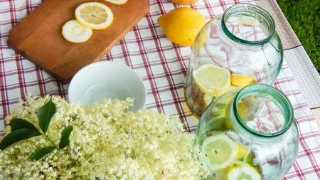 Prețul unui pahar de socată în restaurantele din România. Surpriza sezonului se vinde cu peste 10 lei