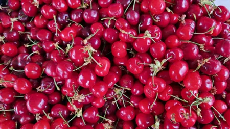 Au apărut primele cireșe românești la tarabele din București. De necrezut cât costă un kilogram în Piața Rahova