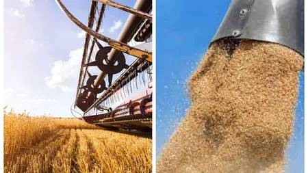 România: dependentă de importuri, deși are condiții extrem de favorabile pentru agricultură. Daniel Botănoiu, președintele AFR „Problemele noastre rămân extrem de grave”