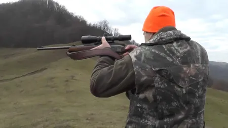 Agricultorii sunt în extaz! S-a dat liber la vânătoarea acestei specii. Această pasăre este unul dintre cei mai mari dăunători pentru culturi