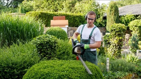 Schimbări pe piaţa muncii: Apar 8 profesii noi, iar altele două au fost reorganizate. Decizia, în Monitorul Oficial