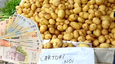 Prețuri astronomice pentru cartofi în 2024. Cât trebuie să scoatem din buzunar pentru cel mai consumat aliment