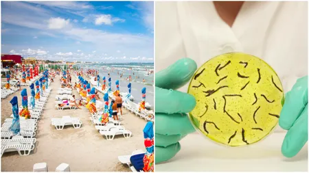 Ministrul Economiei îi încurajează pe români să nu își anuleze vacanțele din cauza alertei de holeră. „Turiștii sunt în siguranță!”