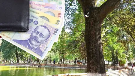 Amenzi uriașe pentru românii care omoară acest animal! Orașul care a fost invadat, iar localnicii nu pot face nimic