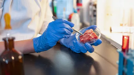 S-a ajuns și la asta! Două companii au primit aprobarea pentru a comercializa carne creată în laborator