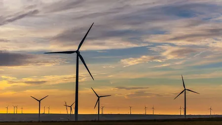 România riscă să piardă bani PNRR. 20% din cei care au depus proiecte pentru investiții în fotovoltaice și eoliene au renunțat la finanțare. Reacția Ministerului Energiei