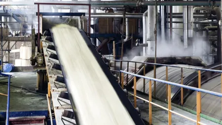 Zahărul, fabricat în cantități tot mai mici! România mai are doar 3 fabrici cu capital majoritar românesc, alte 3 se află în faliment