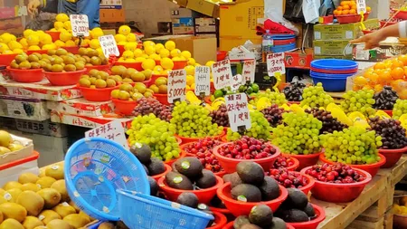 Fermierii români au dat lovitura! Ce metodă au gasit pentru pentru a cultiva strugurii mai rapid