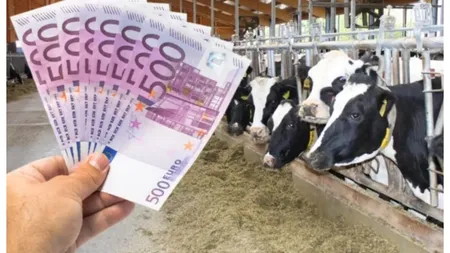 Reguli noi pentru accesarea subvenţiilor APIA. Ce trebuie să ştie fermierii. Documentul a fost publicat în Monitorul Oficial