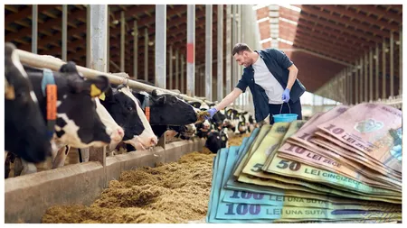 Veşti excelente pentru agricultori! Banii din subvenţiile APIA intră pe carduri săptămâna aceasta