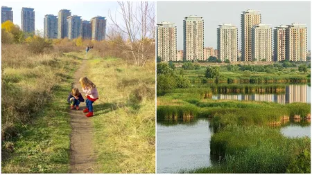 Programul Vară Verde. Activități gratuite pentru copii și seniori în Parcul Natural Văcărești. „Se va desfăşura în toate weekendurile”