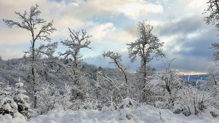 ANM anunță ger, vreme severă și perioade cu ninsori abundente. Când își va intra iarna în drepturi