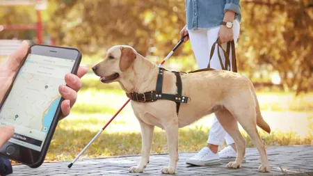 Un bărbat nevăzător a învins o companie de car sharing în instanță, după ce a fost refuzat de doi șoferi din cauza câinelui ghid. Românul trebuie să primească acum daune morale de 10.000 de lei