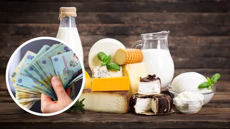 Topul producătorilor de lactate din România. Primele 3 companii din clasament au avut împreună afaceri de 2,7 miliarde lei