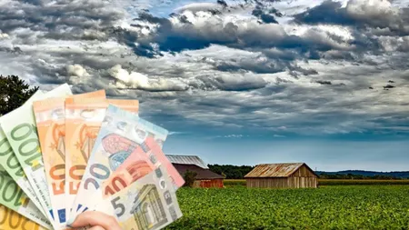 Grup Șerban Holding, investiție de peste 1 milion de euro. Compania românească a cumpărat o fermă în județul Vaslui