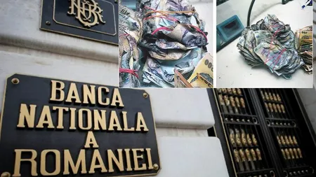 VIDEO. BNR a publicat imagini inedite. Ce s-a întâmplat cu un român care a dus la bancă teancuri întregi de bancnote arse și a cerut alți bani în schimb