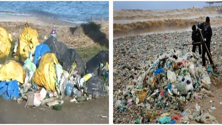 Acuze fără precedent aduse de un fost guvernator al Deltei, după apariția E-coli în Marea Neagră. „A ajuns o boschetăreală pe bani mulți”