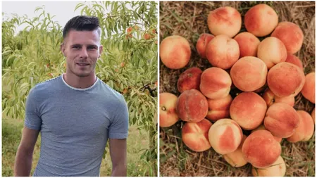 Un tânăr fermier din Satu Mare a fost refuzat, în piața locală, să își vândă producția de piersici: Mi-au zis că nu au mese disponibile, deși erau mese neocupate