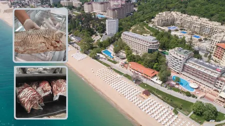 Alertă alimentară pe litoral! La un renumit hotel de lux s-a găsit carne de pește expirată