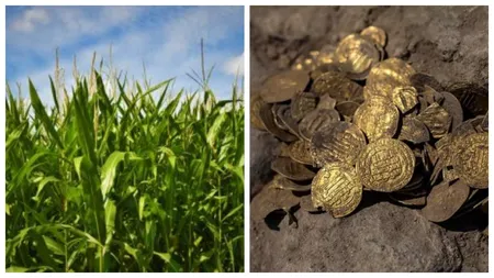 A găsit o comoară de milioane de dolari în pământ, în timp ce săpa porumbul. Ce se întâmplă cu averea