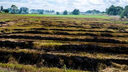 APIA taie subvenţiile pentru terenurile nelucrate. Se pot pierde 5000 de euro!