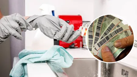 Tichete de activități casnice. Firmele nu se înghesuie să realizeze sistemul informatic. Contractul de peste 17 milioane de lei are o singură ofertă