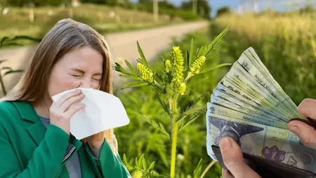 Amenzi de până la 20.000 lei pentru proprietarii care nu respectă această lege. Categoriile de români care sunt exceptate de la plata amenzii